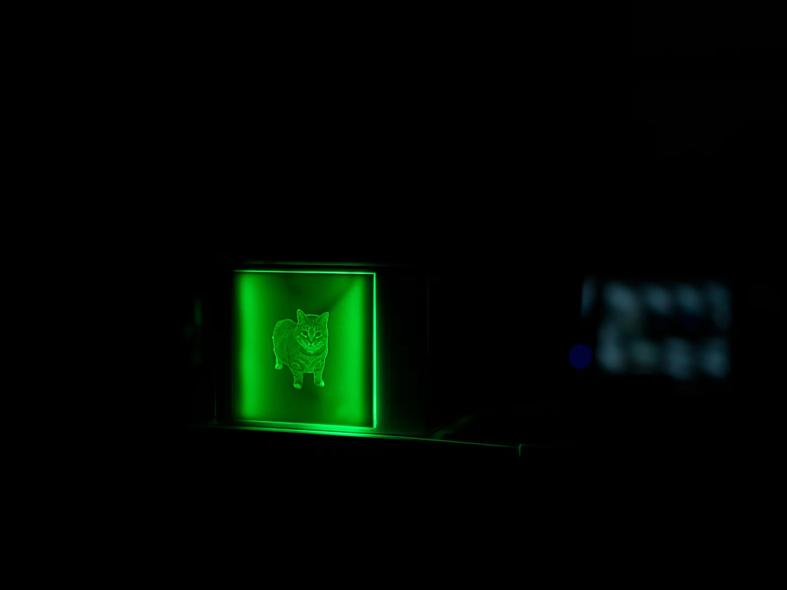 Oiiai Cat glowing green in a dark room